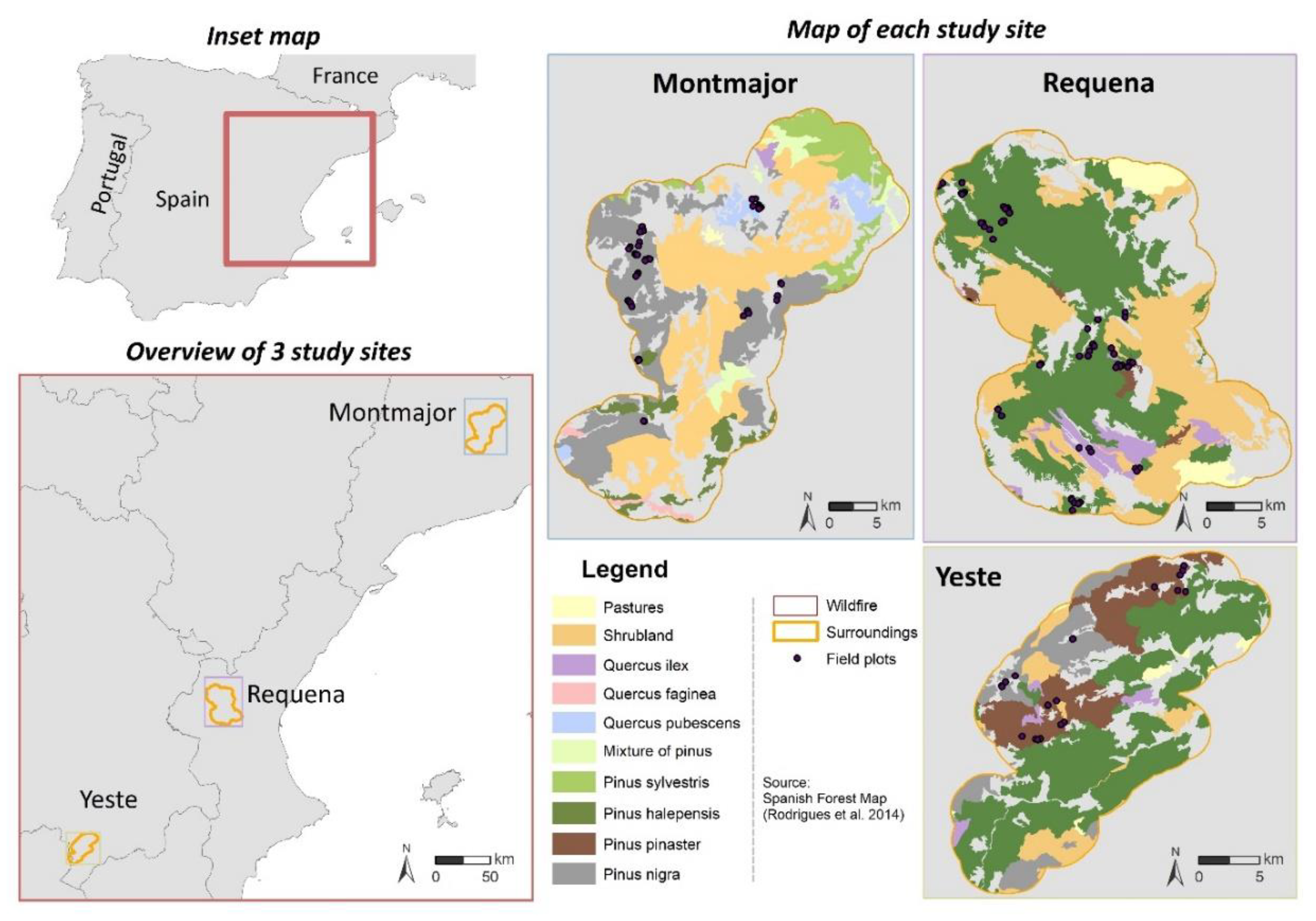 Remotesensing 12 03660 g001