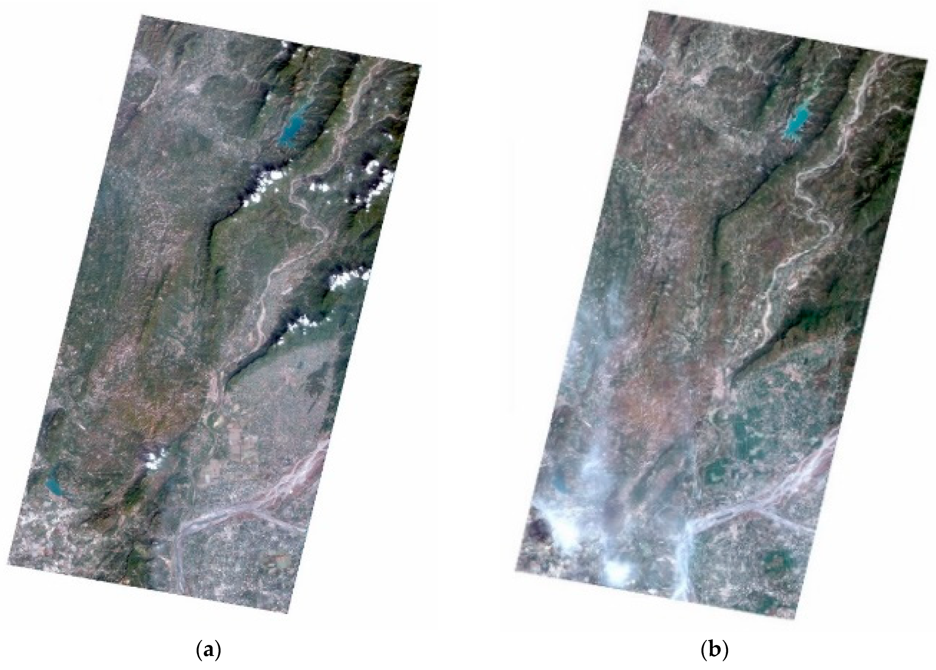 Remotesensing 12 03666 g003a