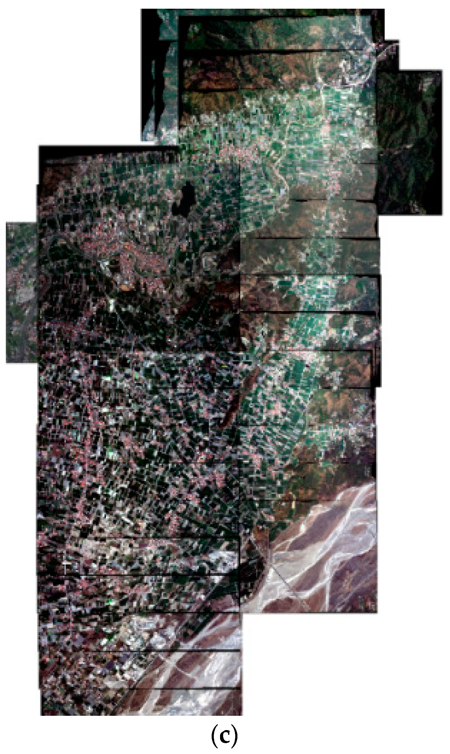 Remotesensing 12 03666 g003b