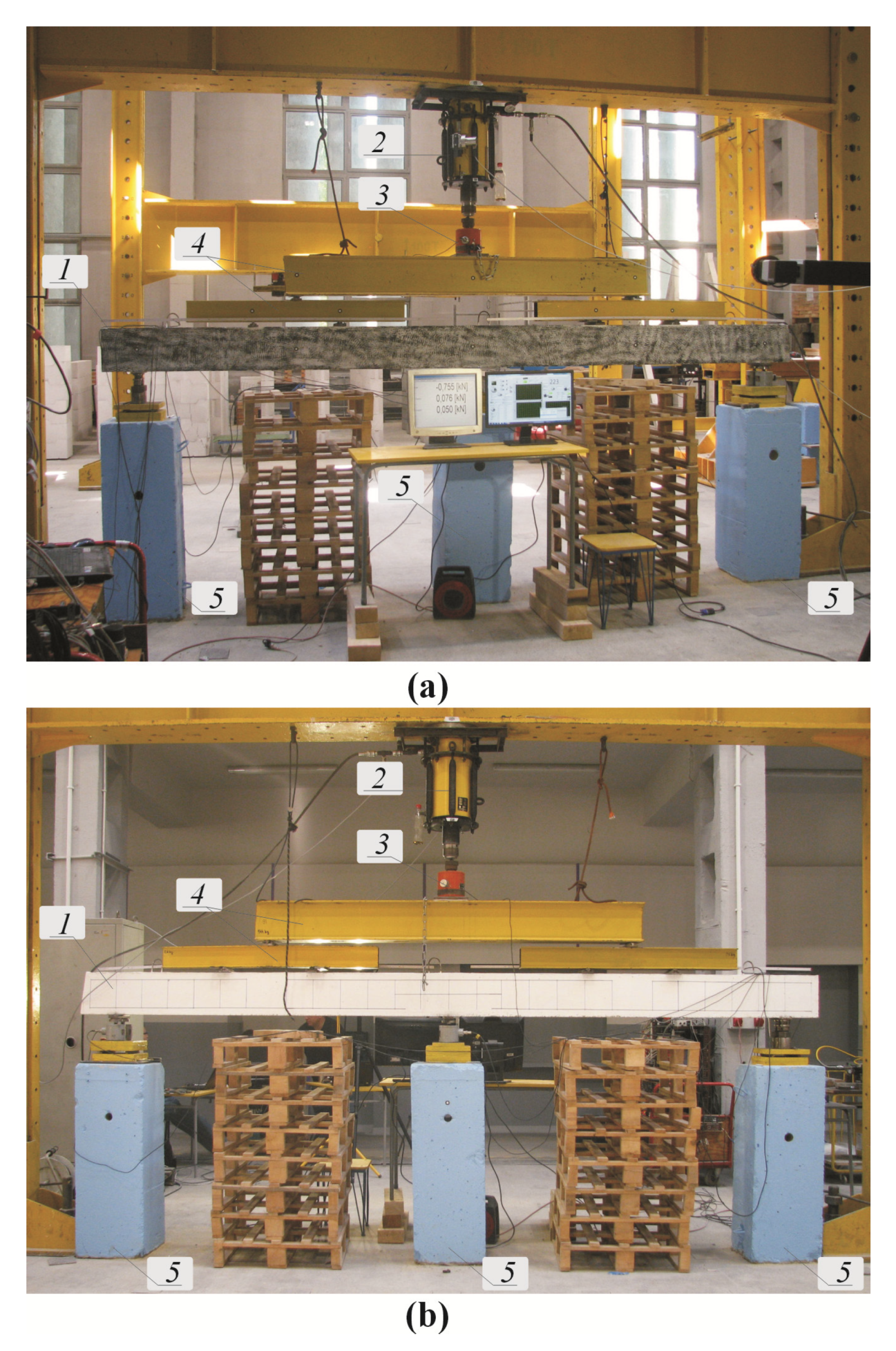 Remotesensing 12 03667 g011