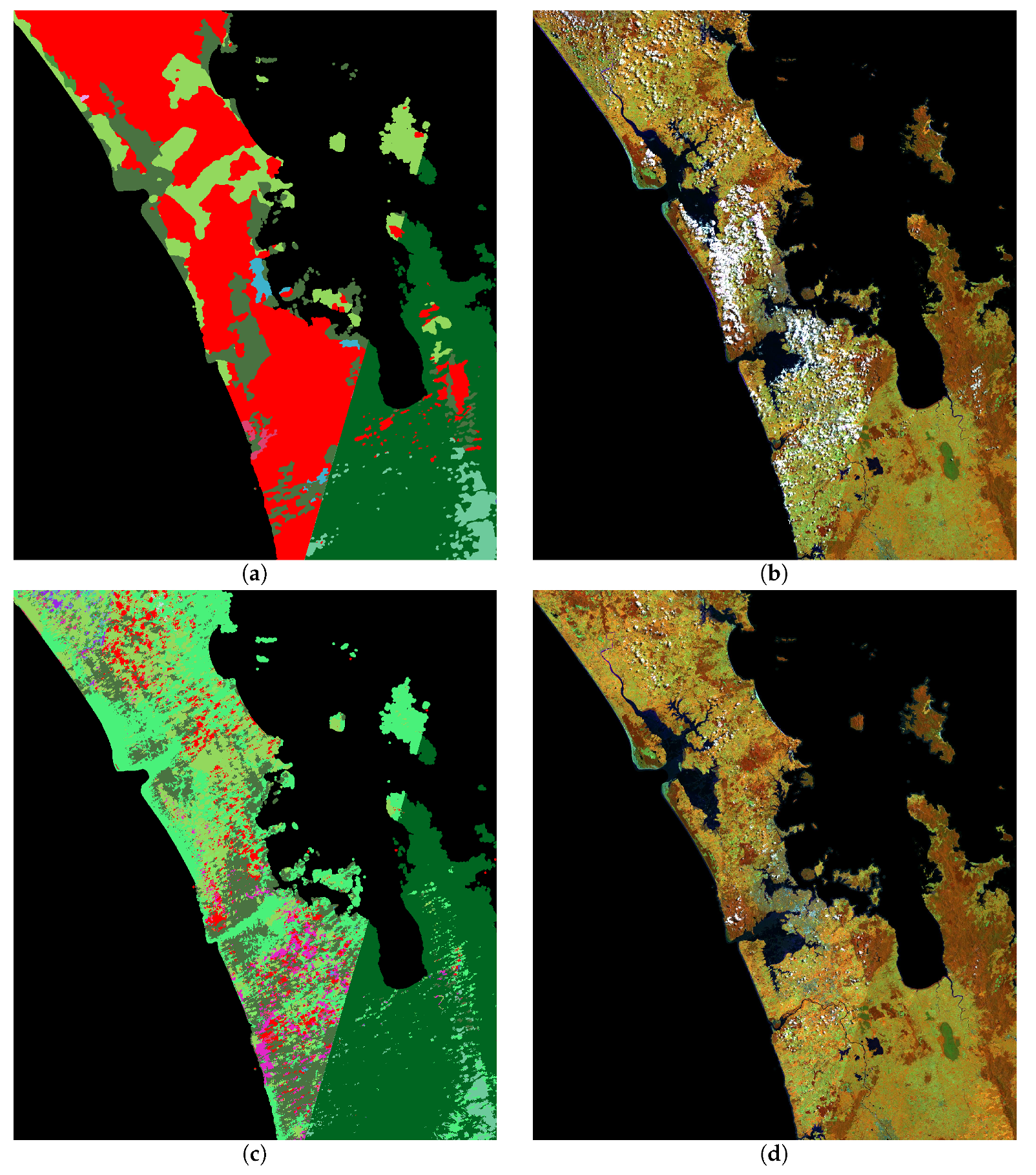 Remotesensing 12 03680 g006