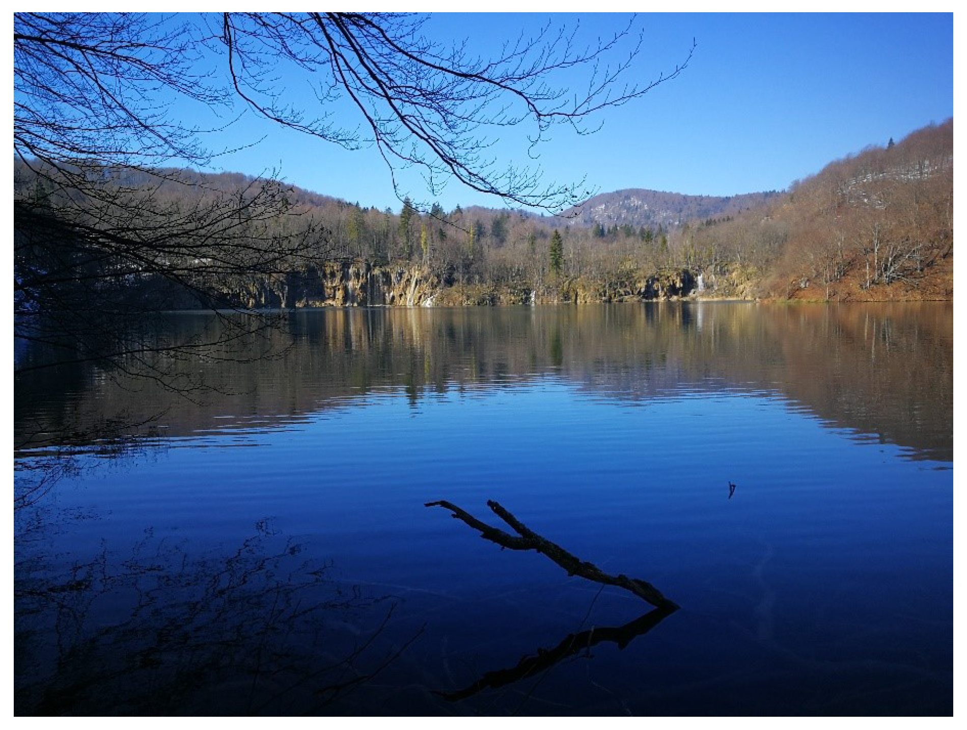 Remotesensing 12 03683 g002