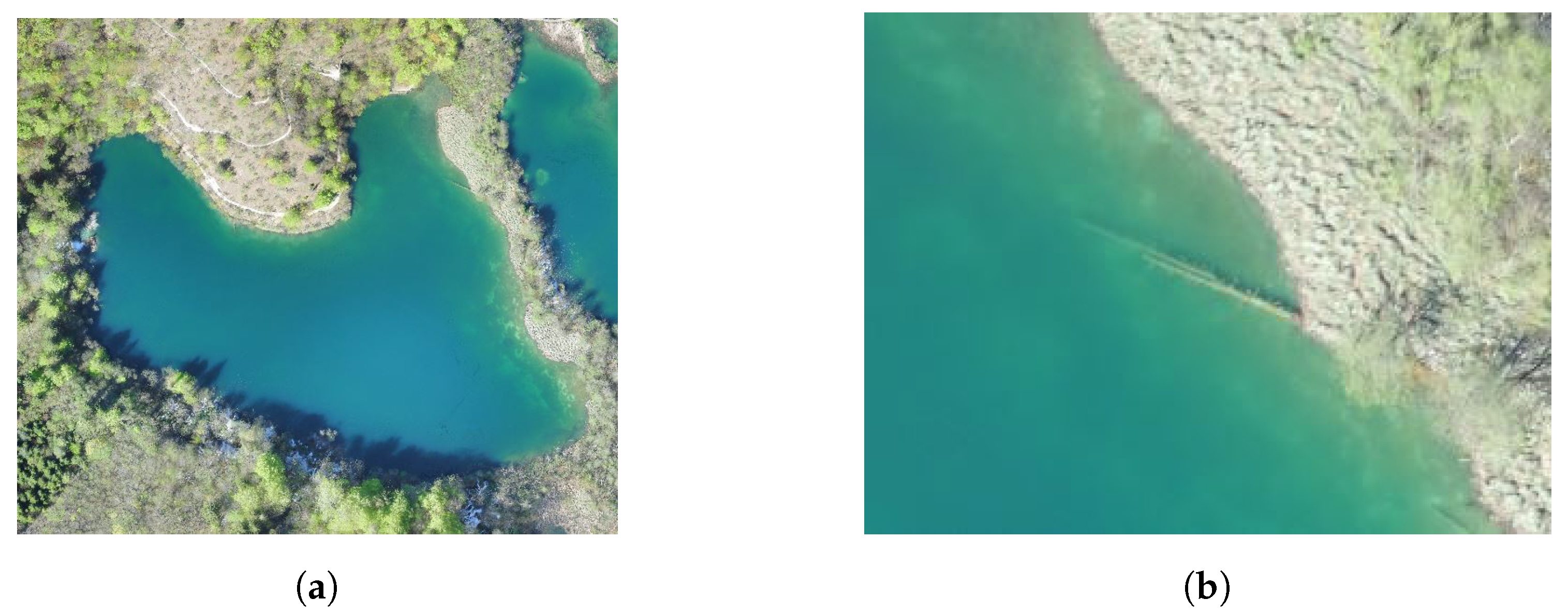 Remotesensing 12 03683 g007