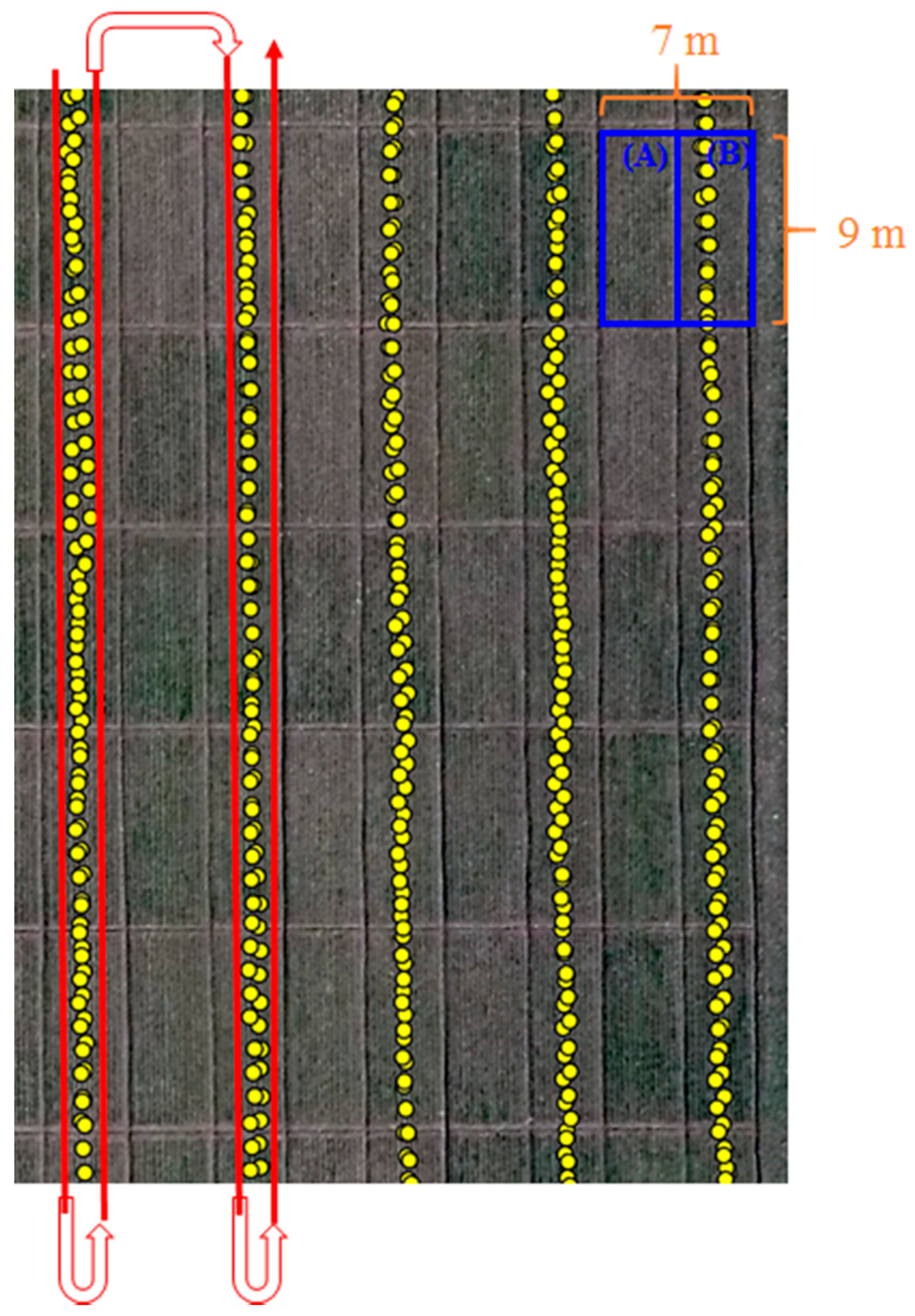 Remotesensing 12 03684 g002