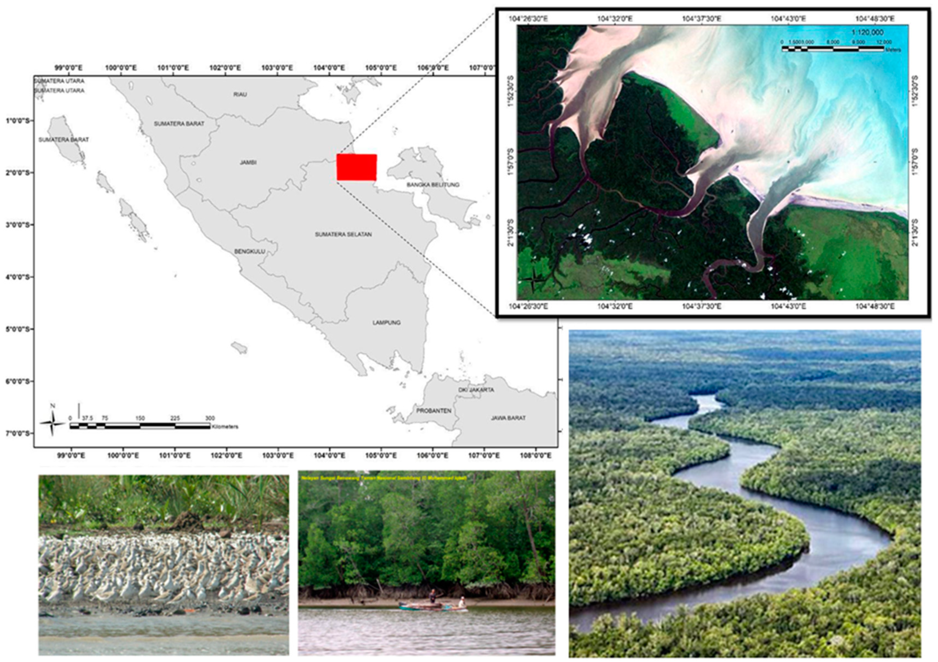 Remotesensing 12 03700 g002