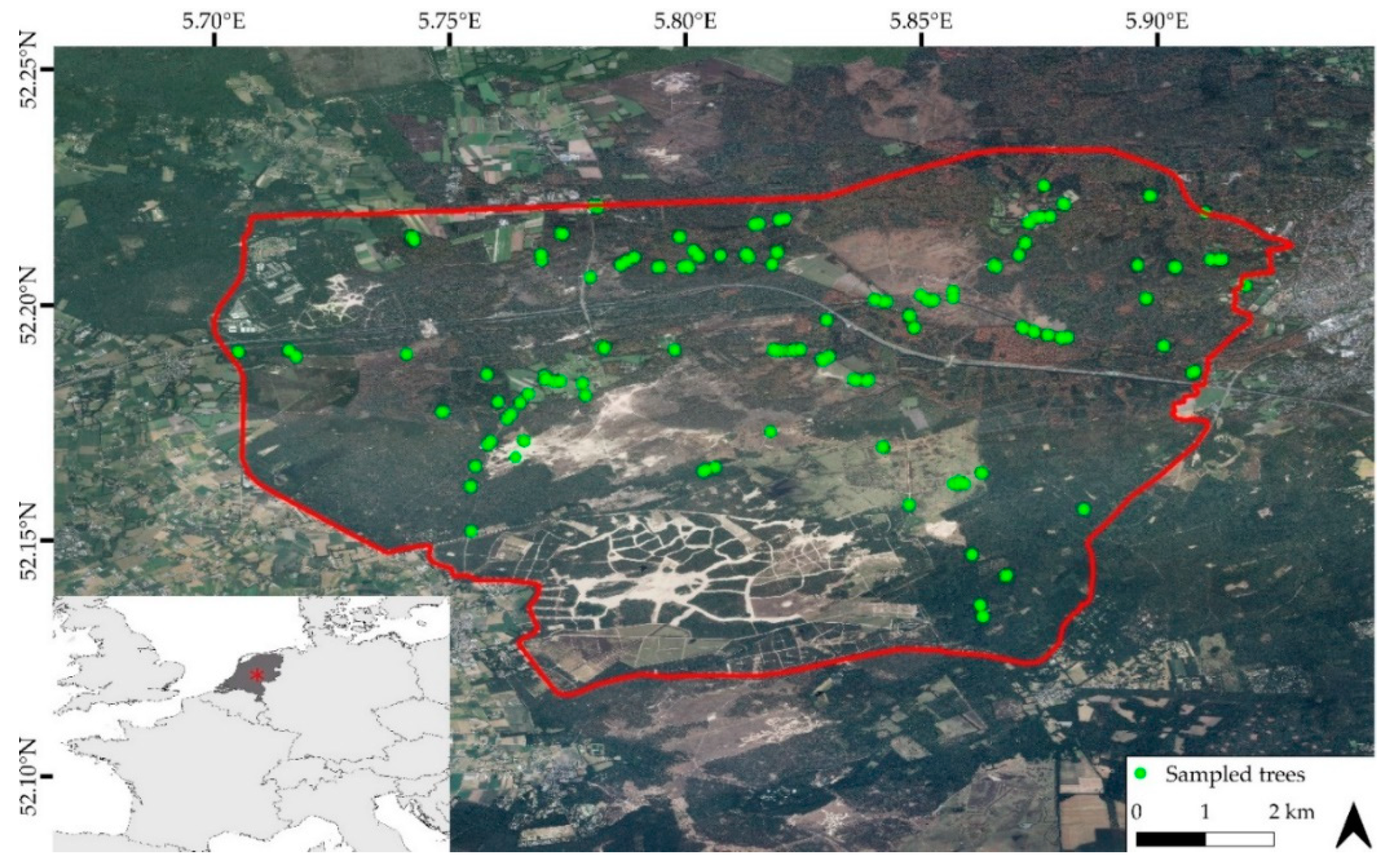 Remotesensing 12 03710 g001