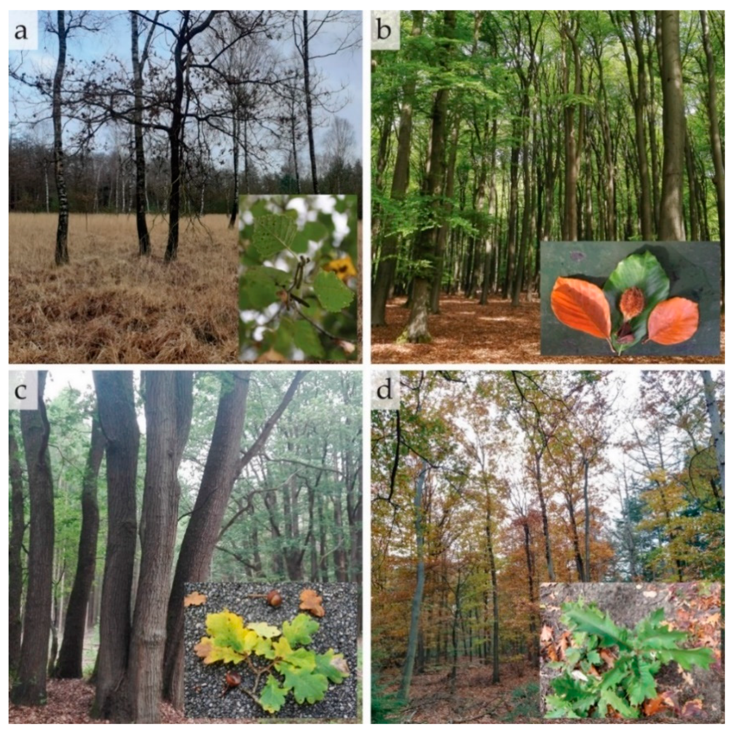 Remotesensing 12 03710 g0a1