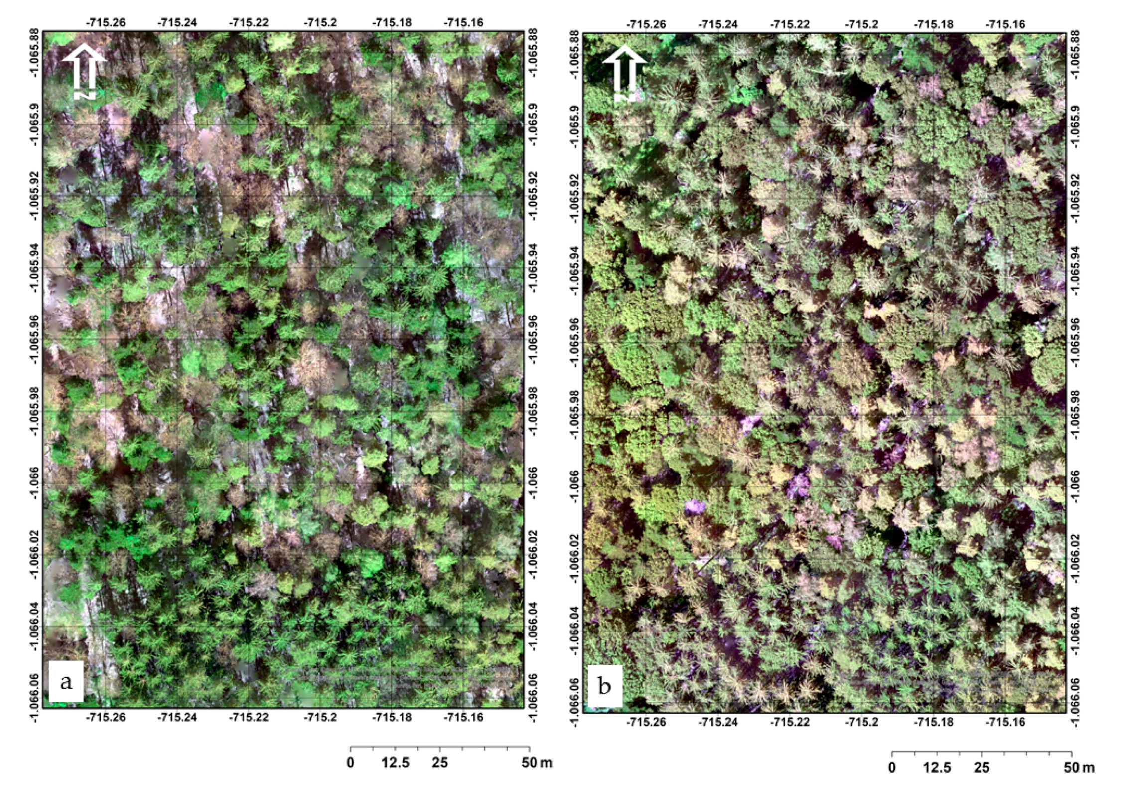 Remotesensing 12 03722 g002