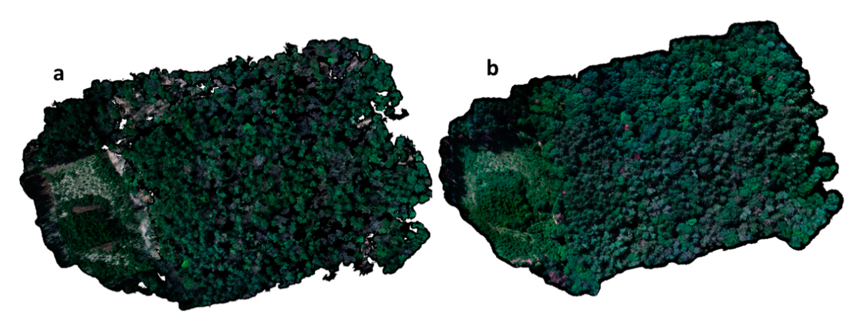 Remotesensing 12 03722 g003