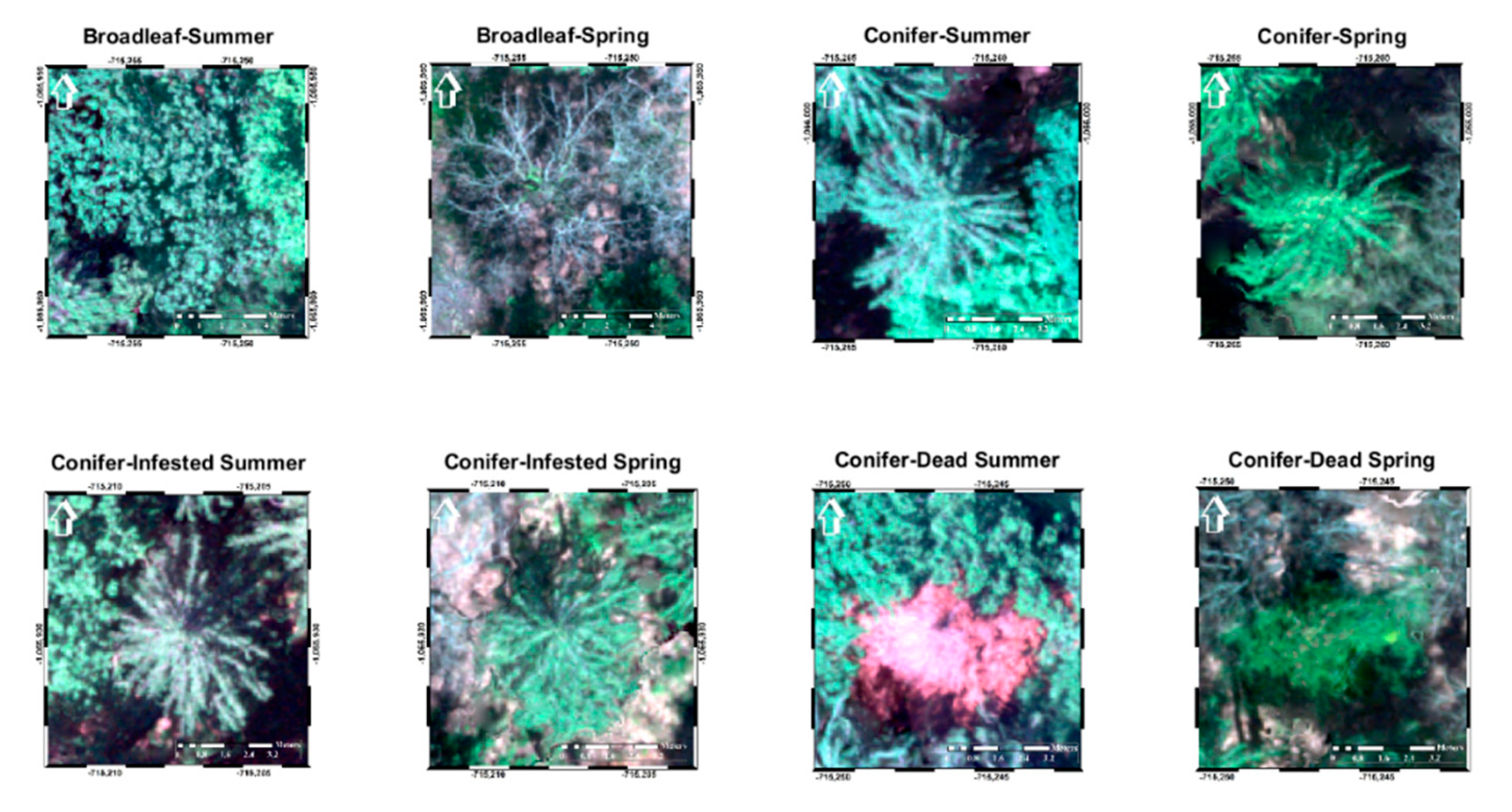 Remotesensing 12 03722 g004