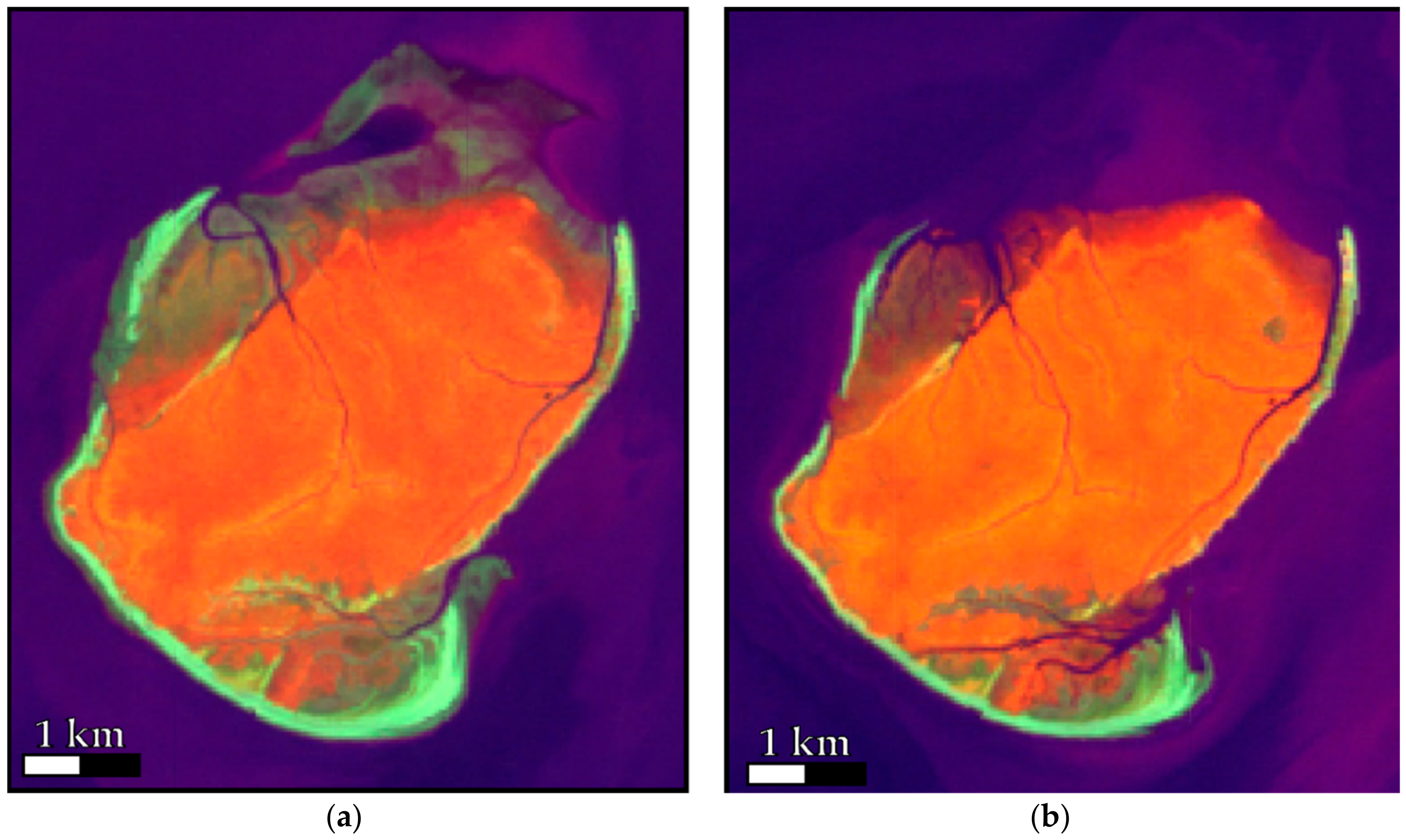 Remotesensing 12 03758 g005