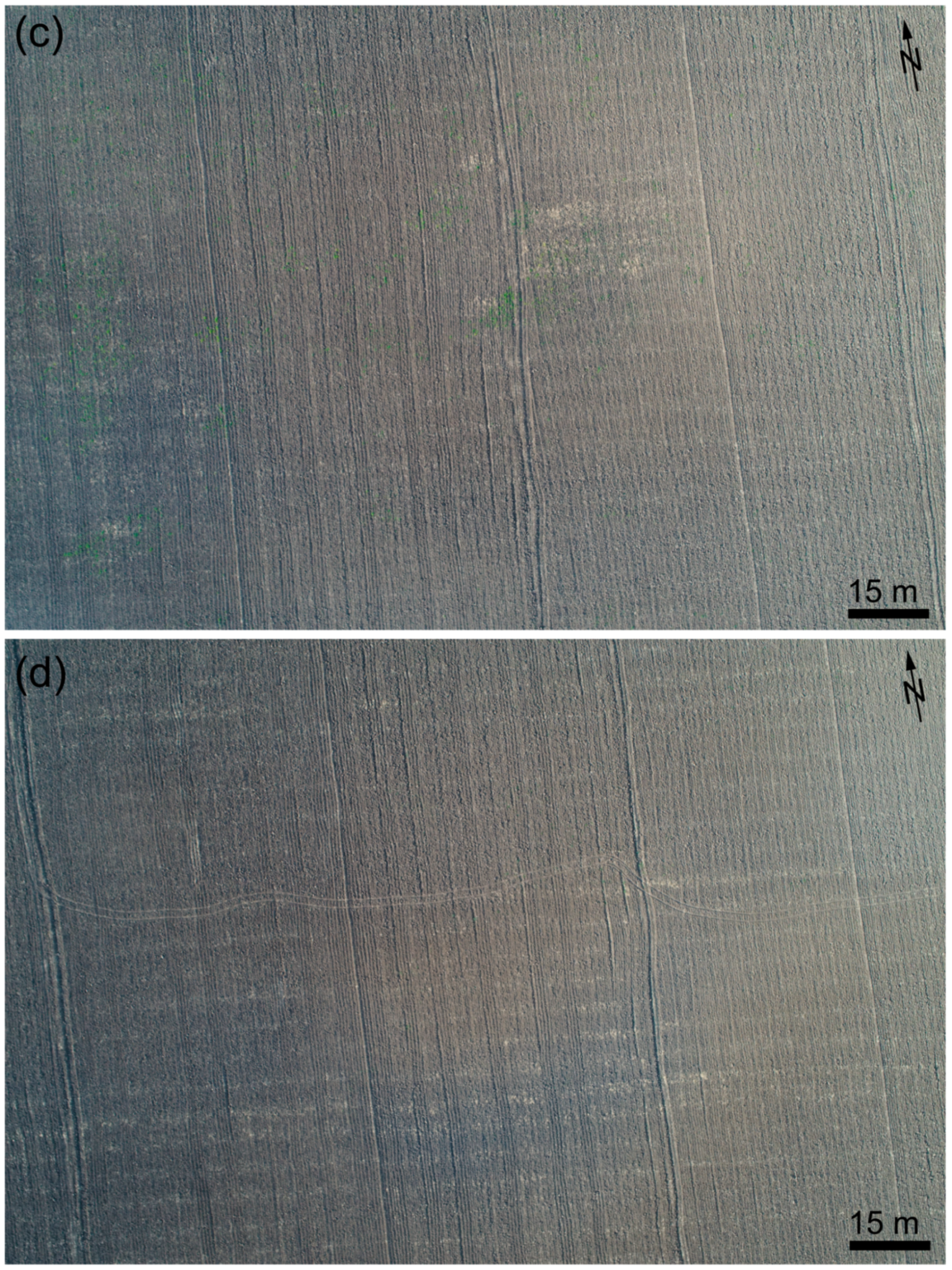 Remotesensing 12 03763 g004b