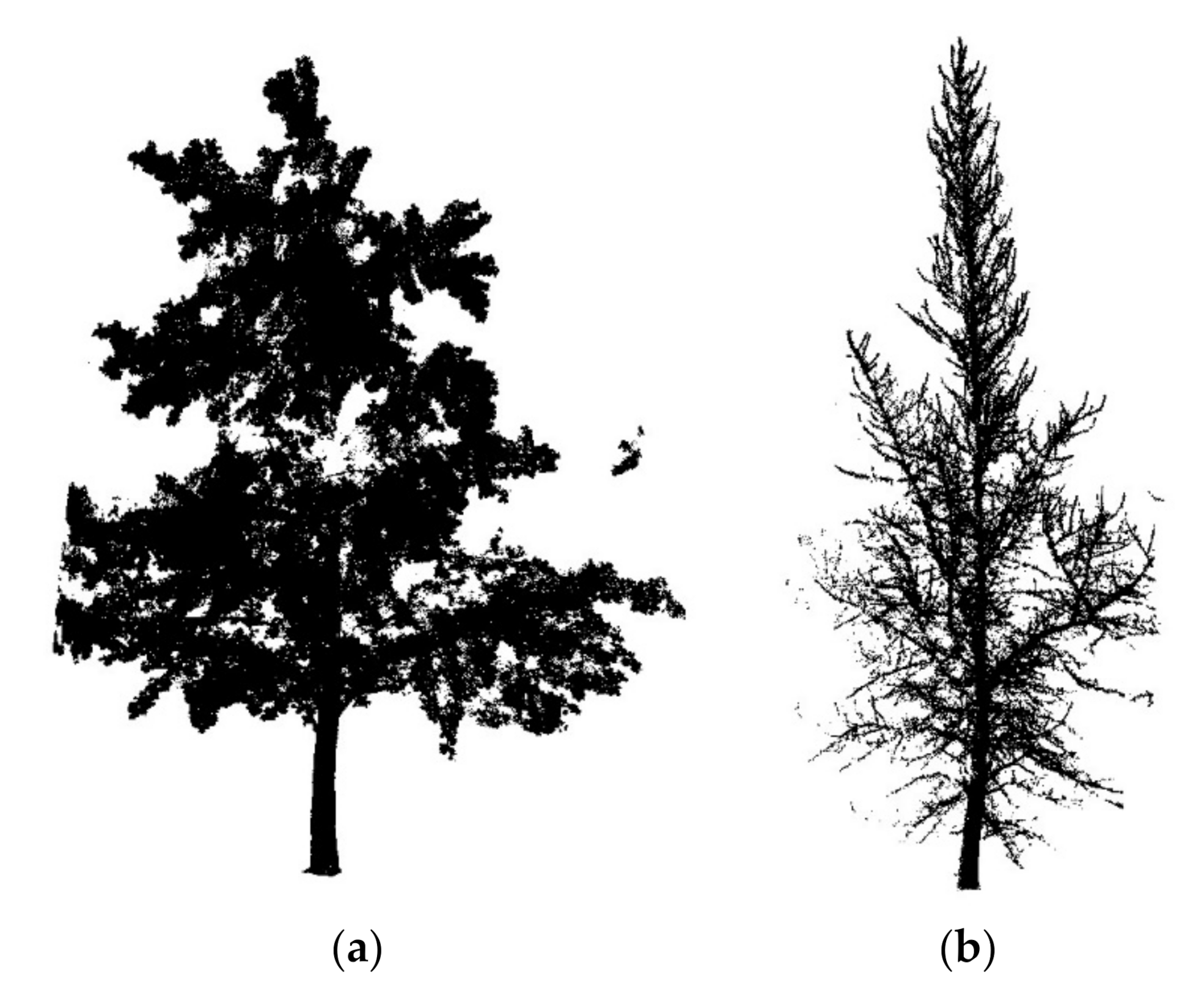 Remotesensing 12 03824 g001 Remotesensing 12 03824 g001