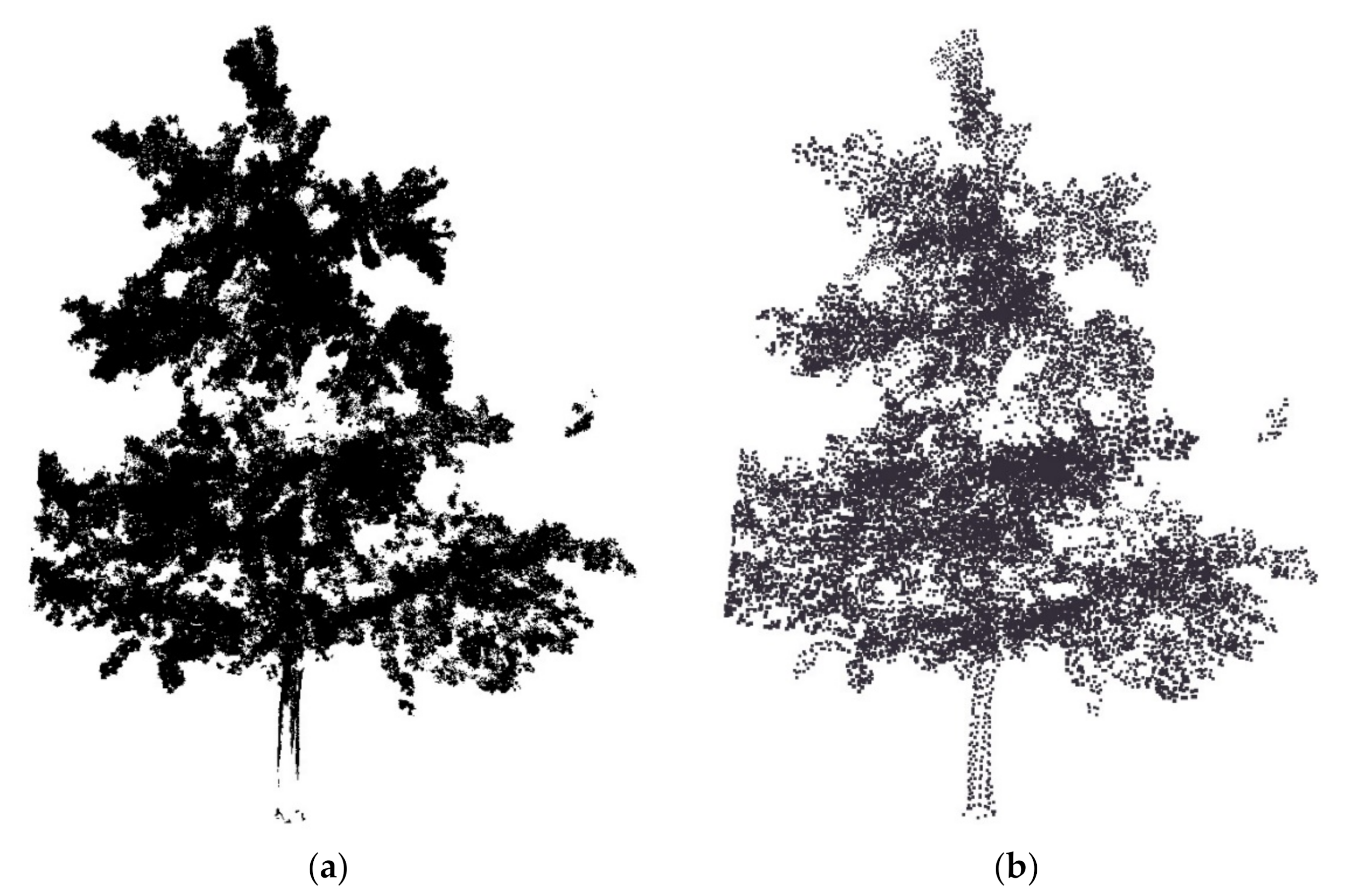 Remotesensing 12 03824 g006 Remotesensing 12 03824 g006