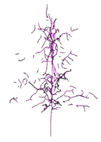Remotesensing 12 03824 i003 Remotesensing 12 03824 i003