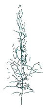 Remotesensing 12 03824 i005 Remotesensing 12 03824 i005