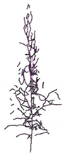 Remotesensing 12 03824 i006 Remotesensing 12 03824 i006