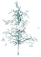 Remotesensing 12 03824 i008 Remotesensing 12 03824 i008