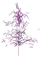 Remotesensing 12 03824 i009 Remotesensing 12 03824 i009
