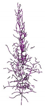 Remotesensing 12 03824 i012 Remotesensing 12 03824 i012