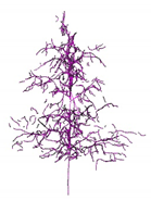 Remotesensing 12 03824 i015 Remotesensing 12 03824 i015