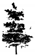 Remotesensing 12 03824 i019 Remotesensing 12 03824 i019