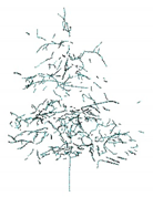 Remotesensing 12 03824 i020 Remotesensing 12 03824 i020