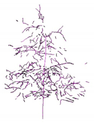 Remotesensing 12 03824 i021 Remotesensing 12 03824 i021