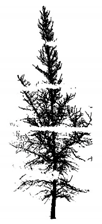 Remotesensing 12 03824 i022 Remotesensing 12 03824 i022