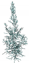 Remotesensing 12 03824 i023 Remotesensing 12 03824 i023