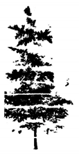 Remotesensing 12 03824 i025 Remotesensing 12 03824 i025