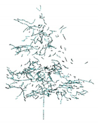Remotesensing 12 03824 i026 Remotesensing 12 03824 i026