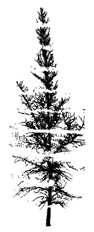 Remotesensing 12 03824 i028 Remotesensing 12 03824 i028