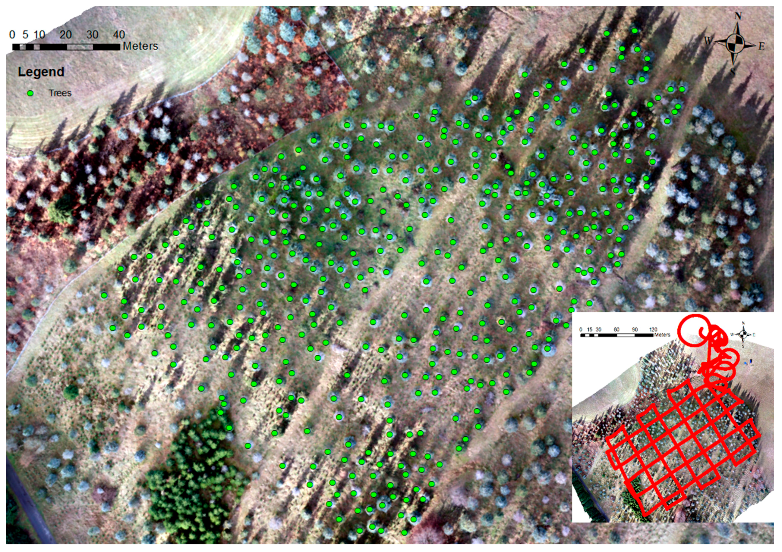 Remotesensing 12 03829 g003