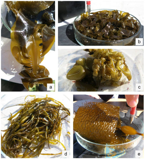 Remotesensing 12 03870 g0a4