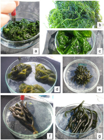 Remotesensing 12 03870 g0a5