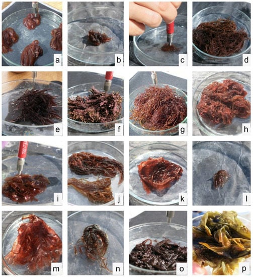 Remotesensing 12 03870 g0a6