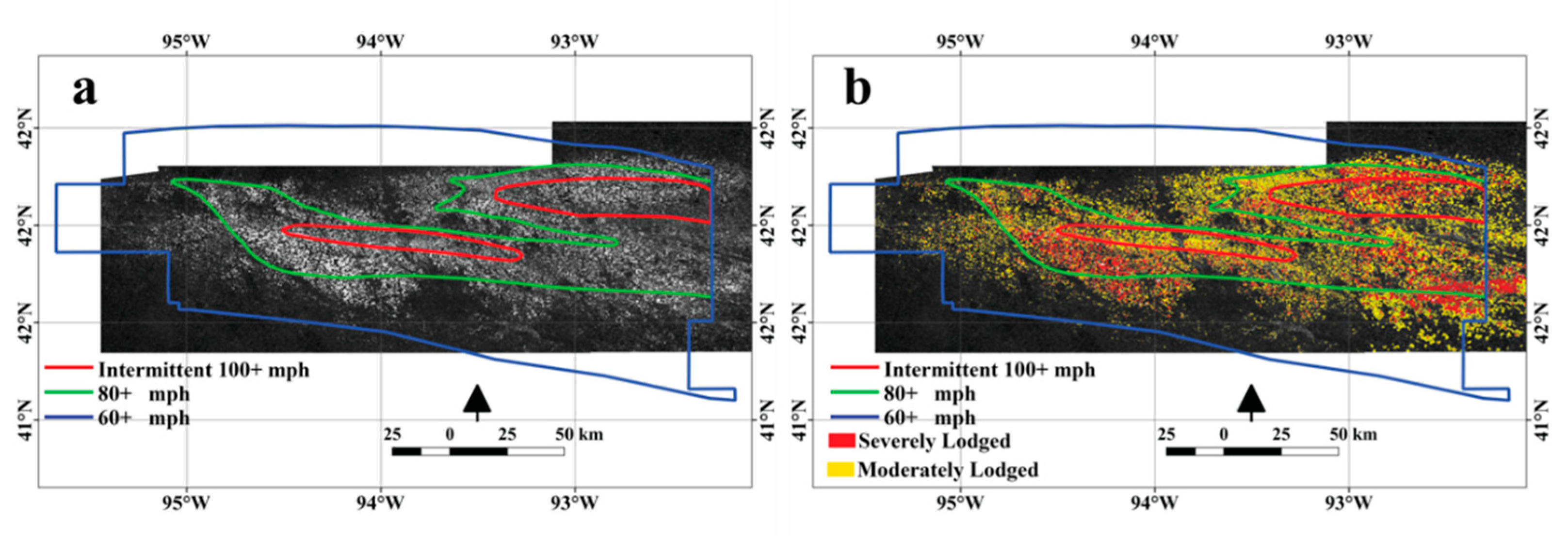 Remotesensing 12 03885 g009
