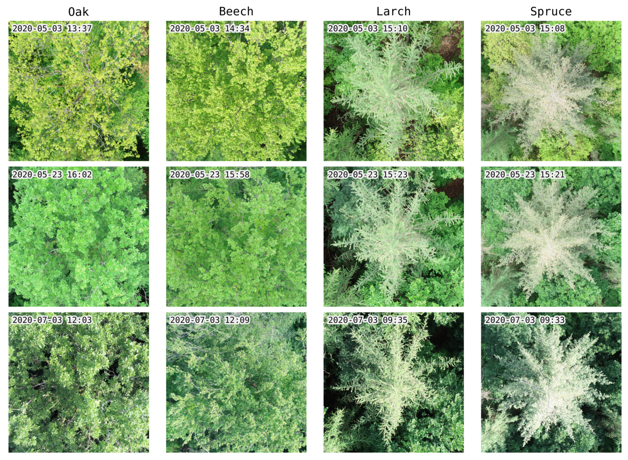 Remotesensing 12 03892 g002 Remotesensing 12 03892 g002