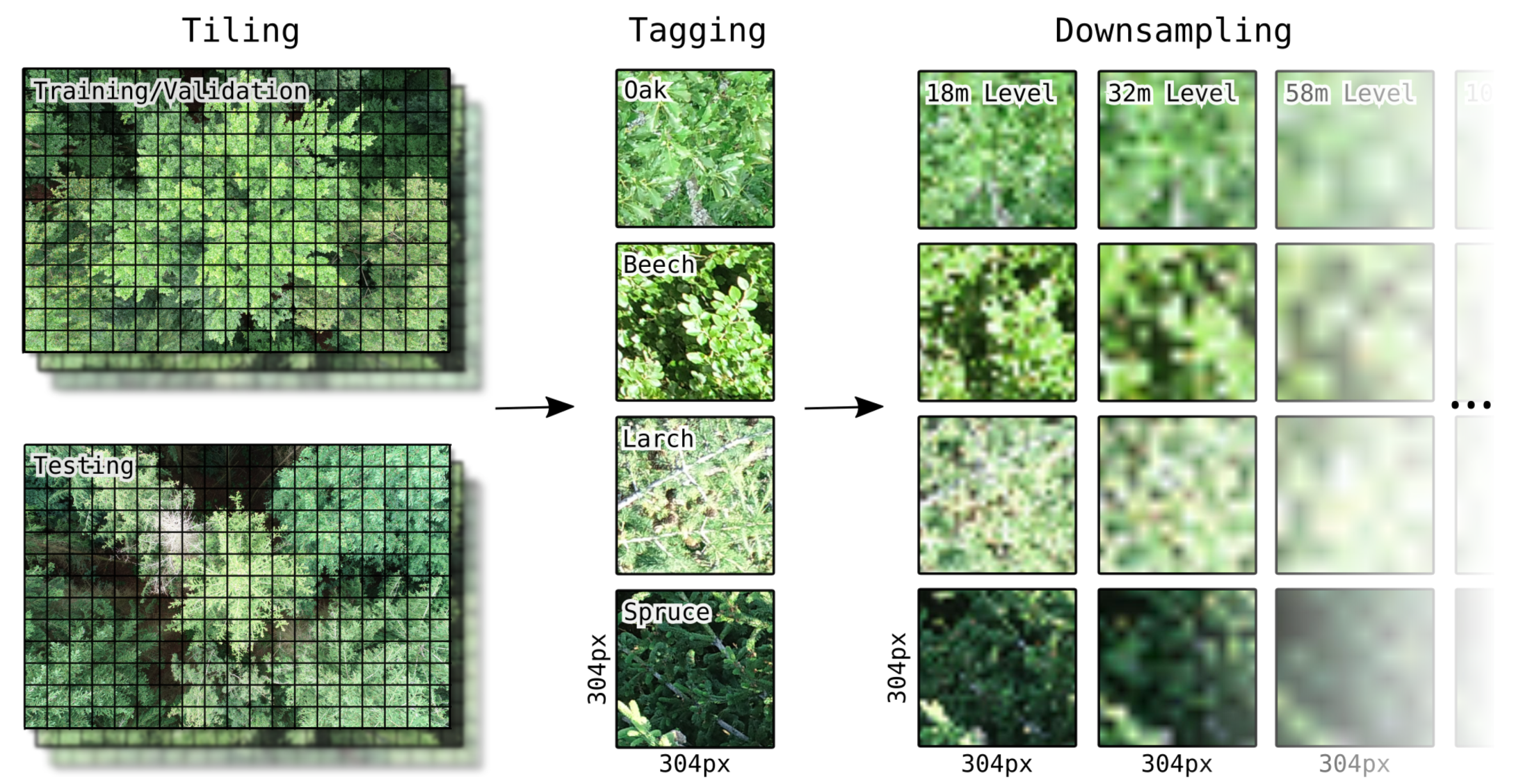 Remotesensing 12 03892 g003 Remotesensing 12 03892 g003