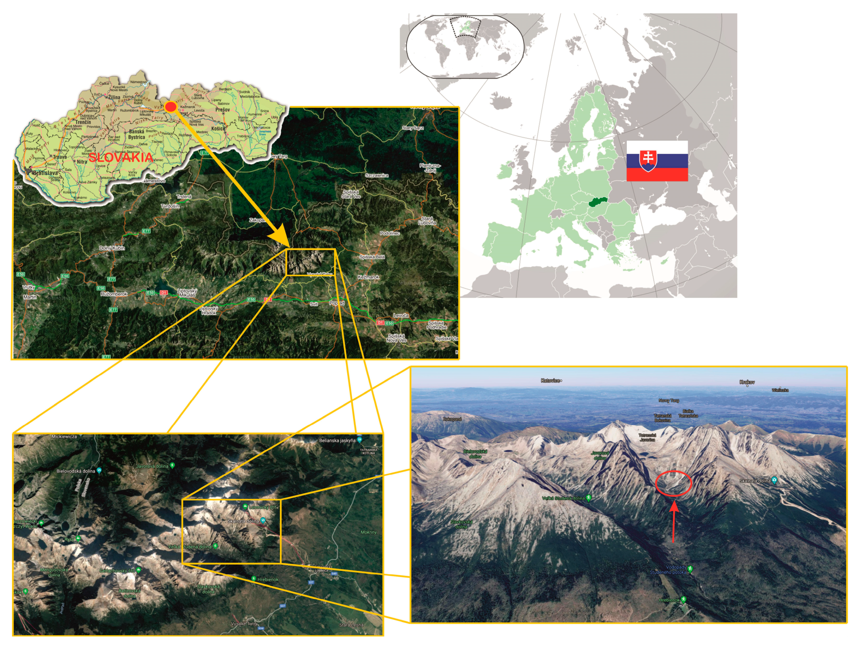 Remotesensing 12 03901 g001