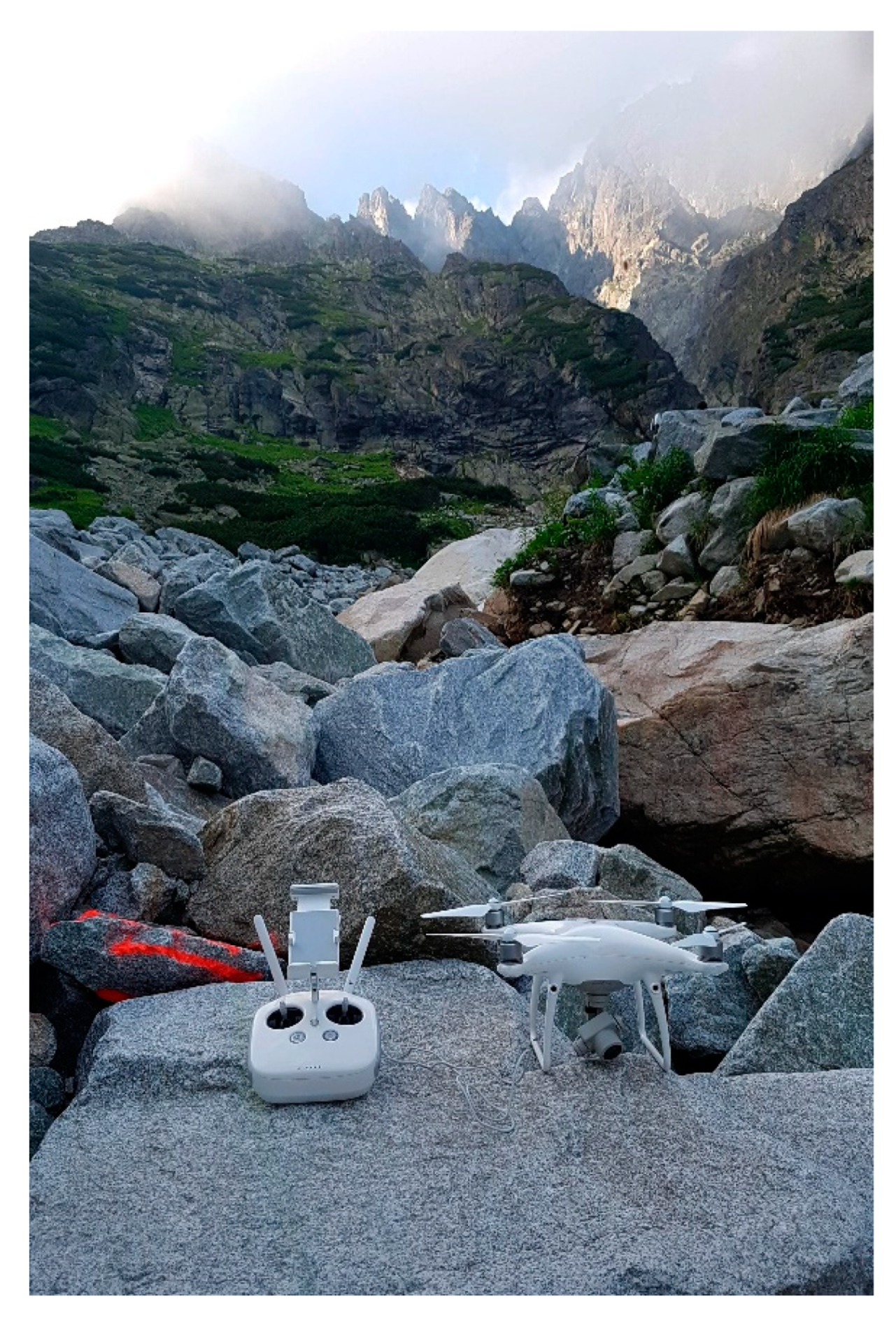 Remotesensing 12 03901 g009