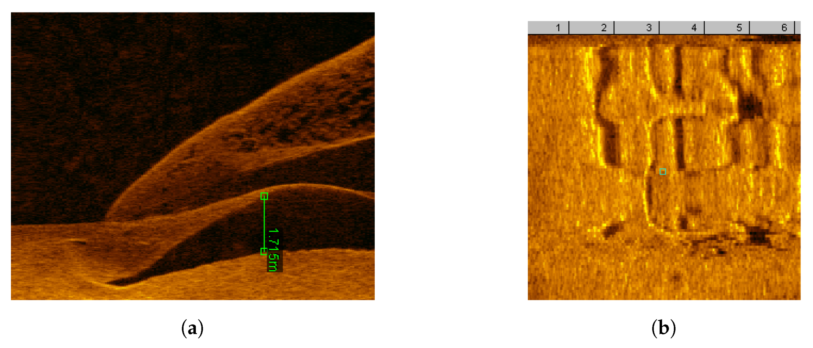 Remotesensing 12 03902 g033