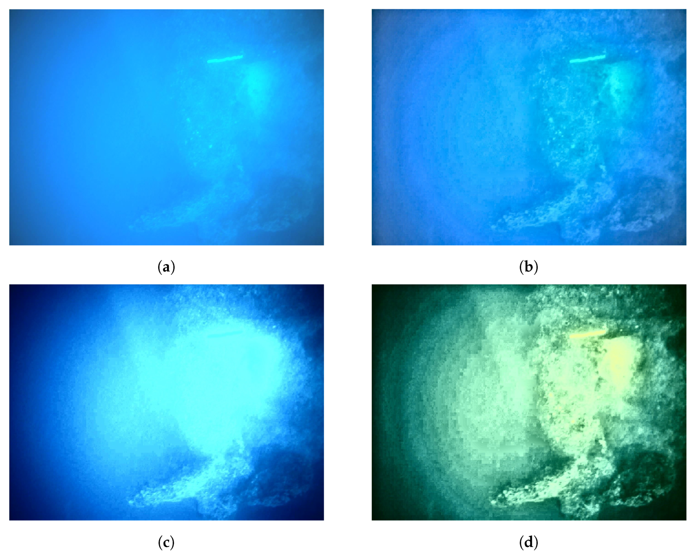 Remotesensing 12 03902 g039