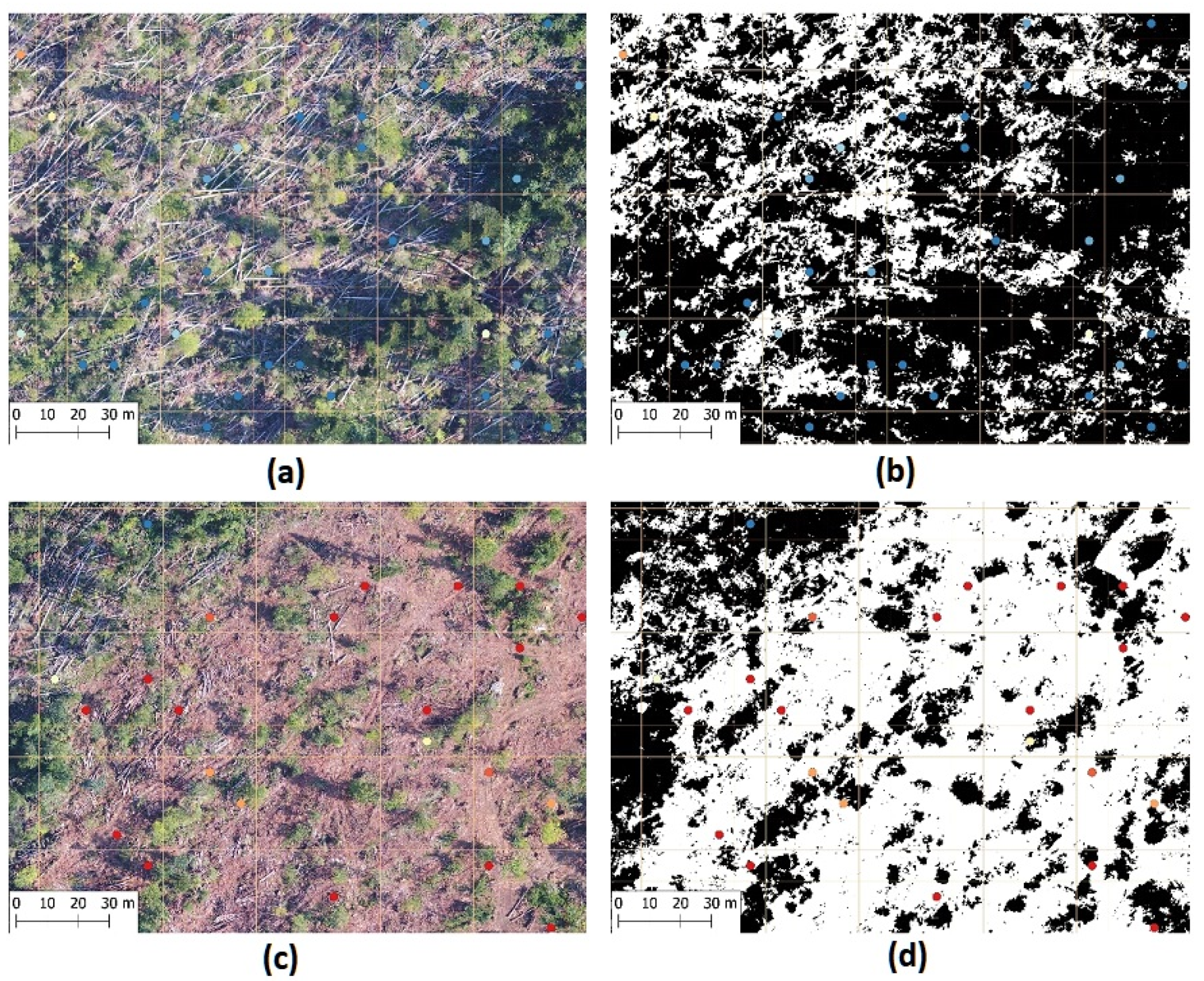 Remotesensing 12 03925 g009 Remotesensing 12 03925 g009