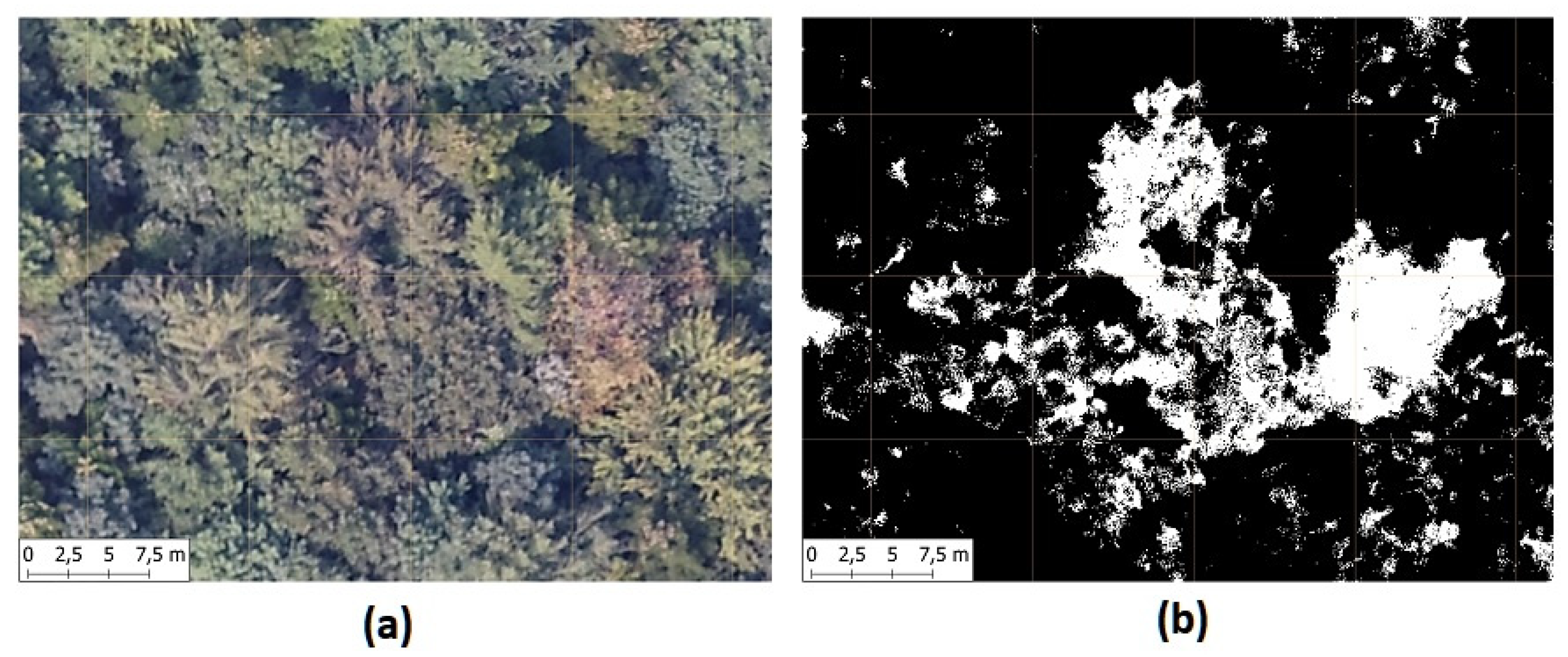 Remotesensing 12 03925 g010 Remotesensing 12 03925 g010