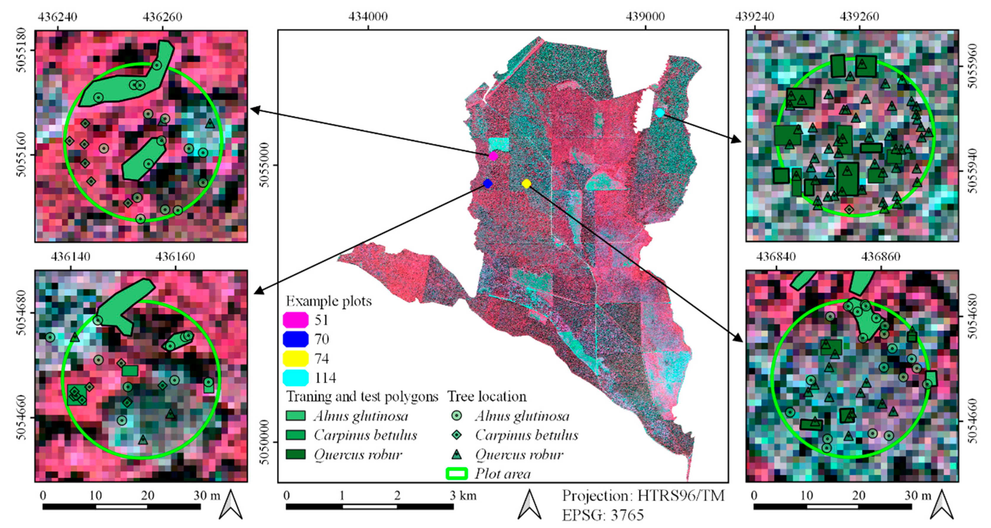 Remotesensing 12 03926 g003