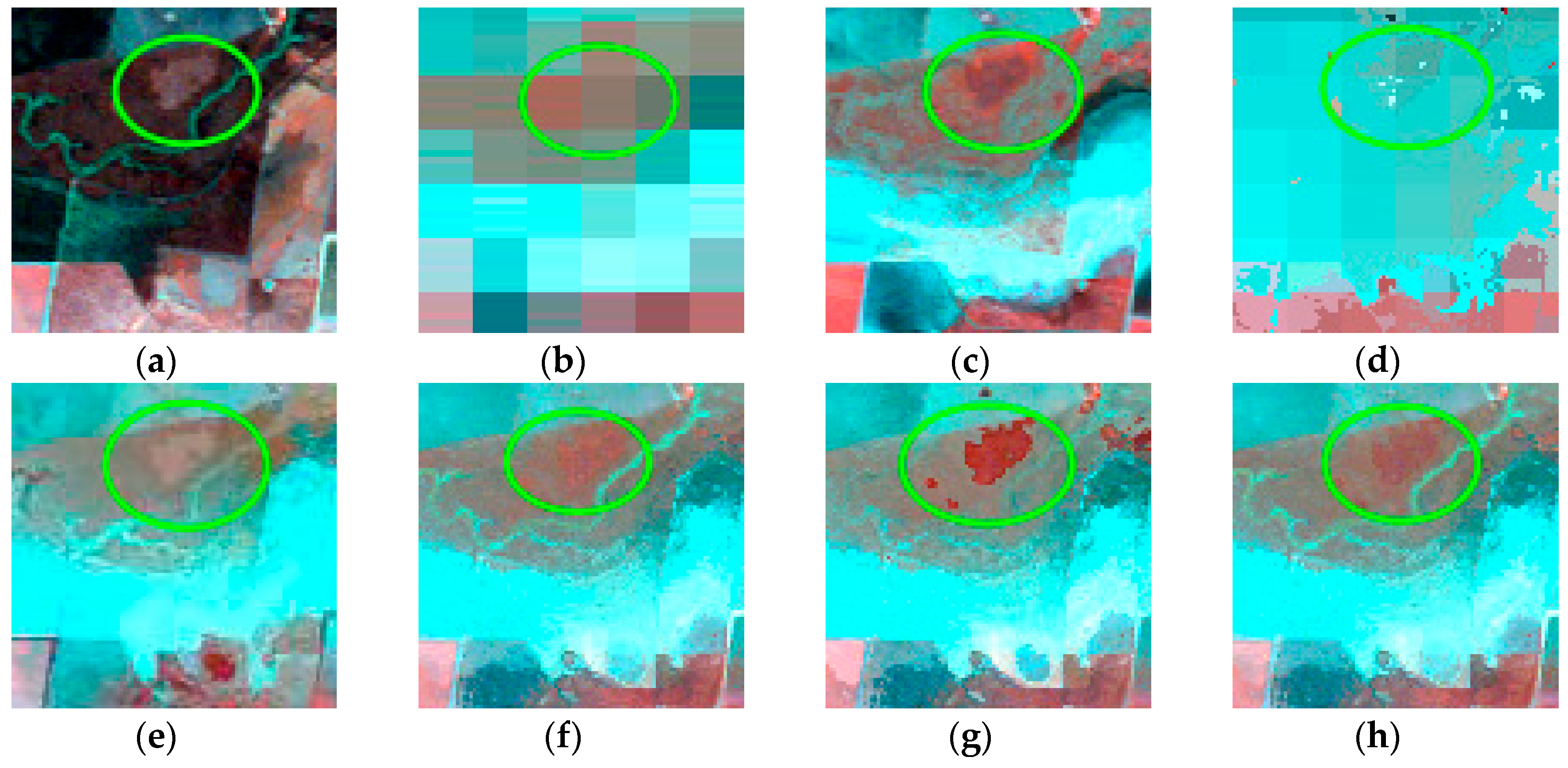 Remotesensing 12 03979 g008