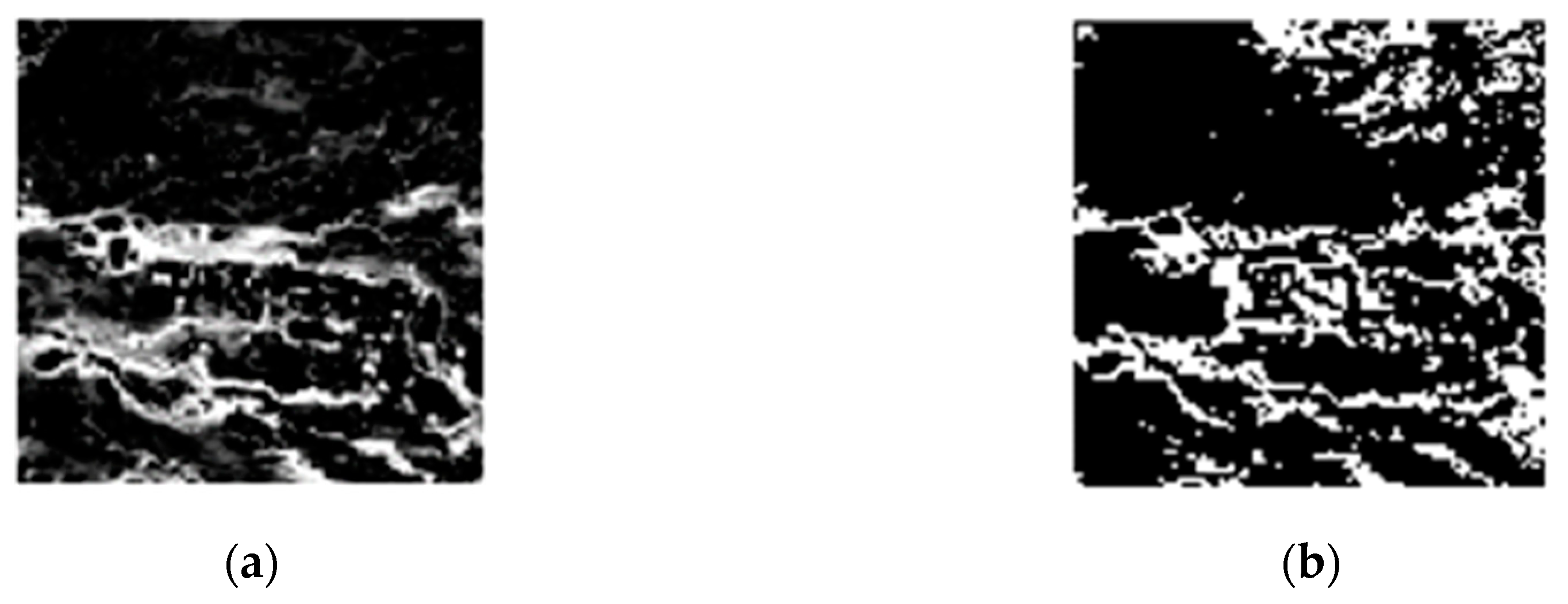 Remotesensing 12 03979 g010