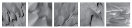 Remotesensing 12 03981 i002